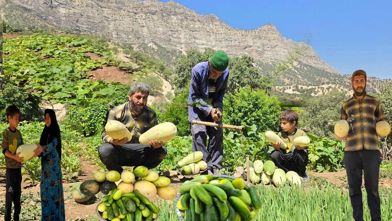 The life of cave-dwelling nomads in IranBuying pumpkins and cucumbers on a mountain farm