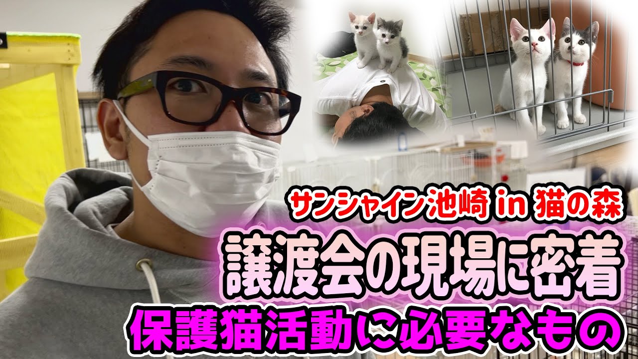 池崎が猫の森を訪問！保護猫譲渡会の様子を見てきました！猫おじさん新企画始動！子供たちへの命の教育！