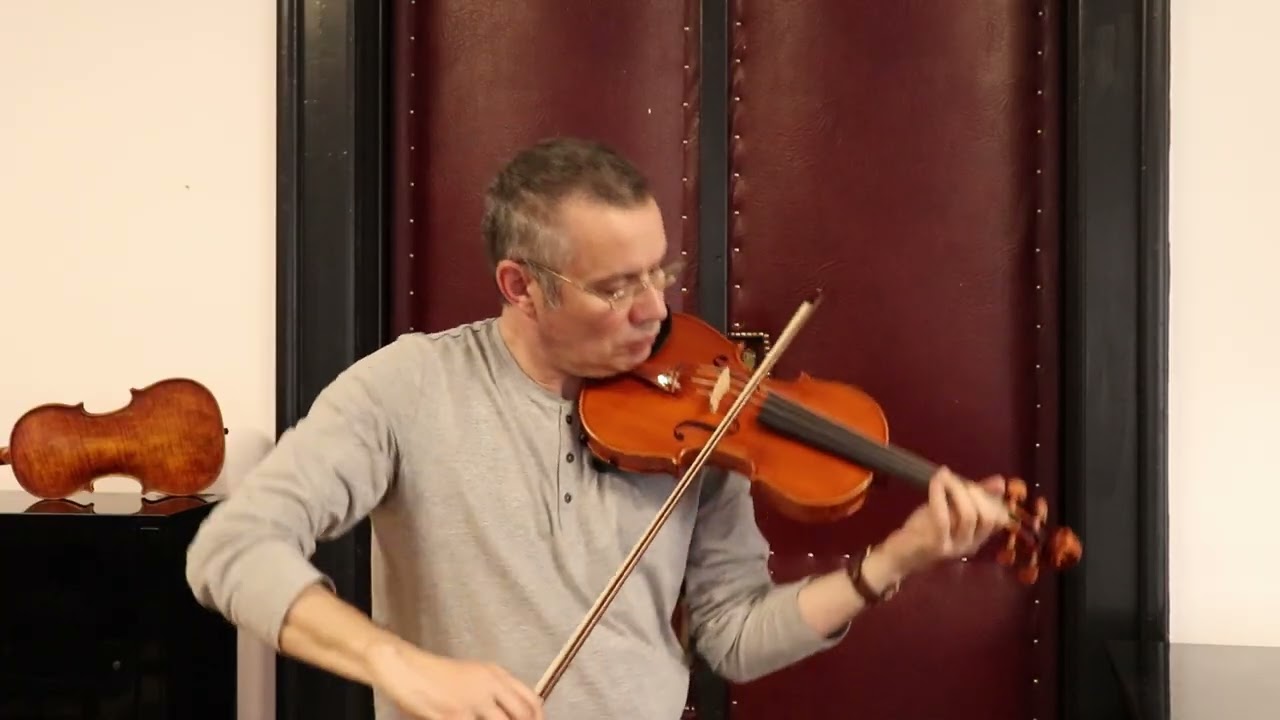 Professional Violin 4/4 Two Pieces Back by Vivarius Workshop # N20