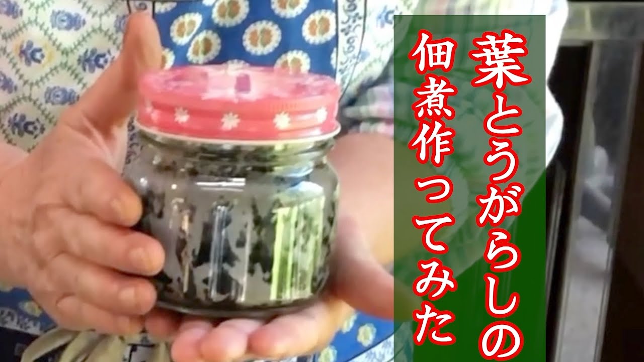 [かき醤油]を使って、 葉唐辛子の佃煮を作りました。 #葉唐辛子の佃煮