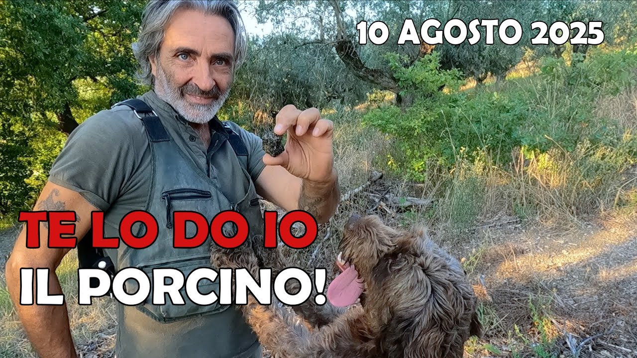 TE LO DO IO IL PORCINO  10 AGOSTO 2025  #funghiporcini #mushroom #porcini #tartufo #cani #nature