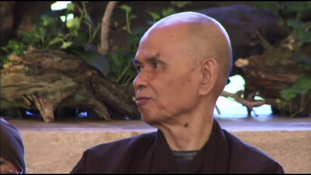 Thick Naht Hanh - True Love is Compassion