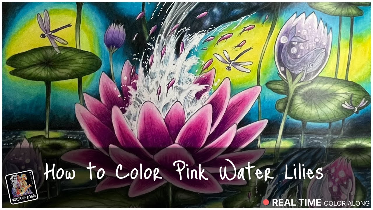 How to Color a Pink Water Lily | REAL TIME Color Along  | Kerby Rosanes Worlds Within Worlds