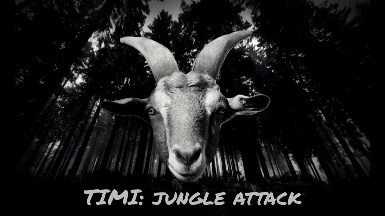 TIMI: jungle attack