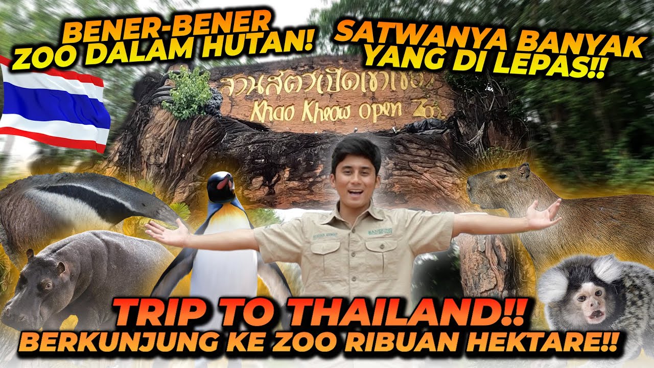 BERKUNJUNG KE KEBUN BINATANG DI THAILAND ! LUASNYA SAMPE RIBUAN HEKTAR !!