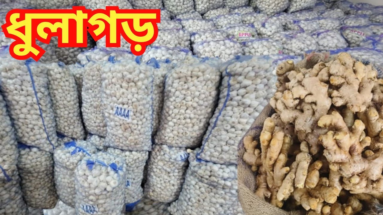 দারুণ কোয়ালিটির নতুন রসুন আসছে এবং বিক্রিও খুব দ্রুত হচ্ছে । Garlic Ginger Price Update Dhulagarh ।