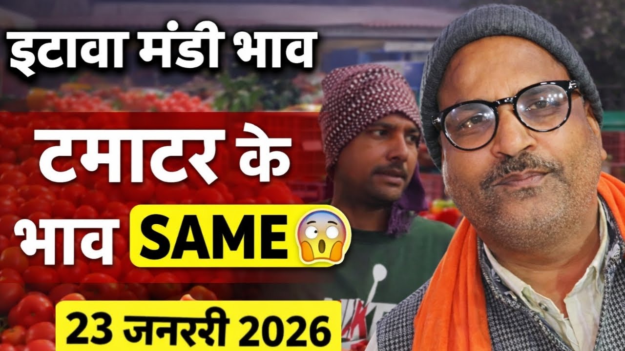 इटावा मंडी भाव | टमाटर के भाव SAME | 23 जनवरी 2026| न तेजी न गिरावट | टमाटर भाव इटावा मंडी