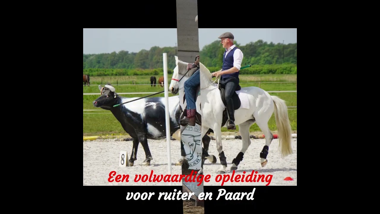 Jaaropleiding 2024-2025
