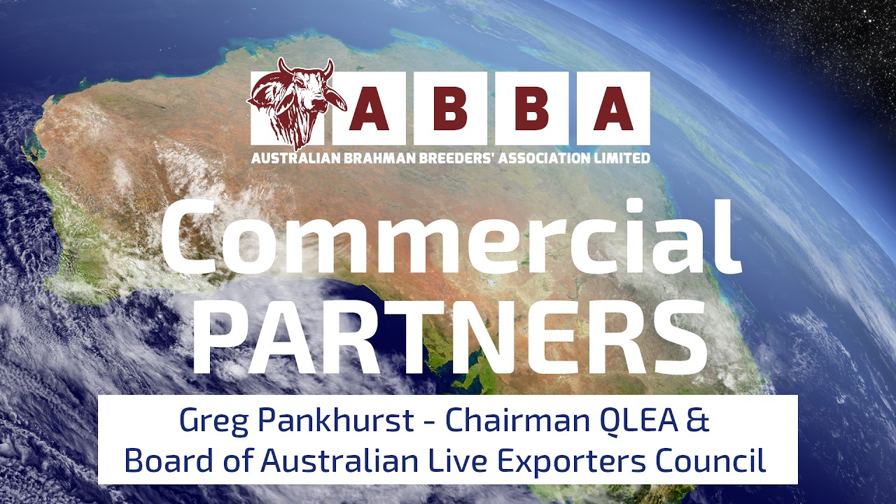 Commercial Partner Greg Pankhurst