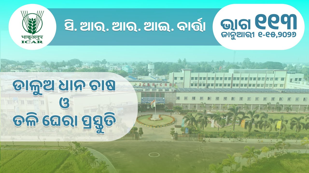 CRRI BARTA 01-15 JANUARY, 2026 (PART-113) II ICAR-CRRI, CUTTACK