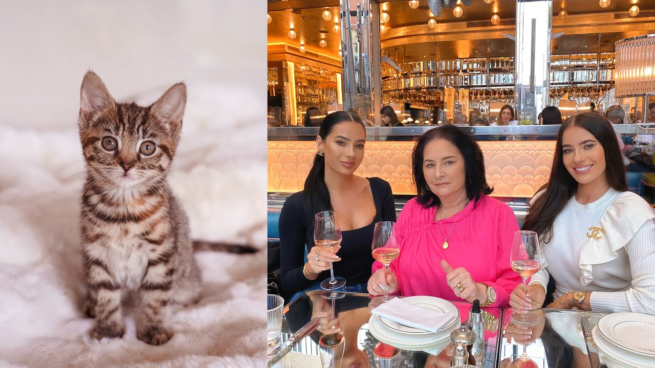 VLOG - WE GOT A NEW KITTEN | CELEBRATING OUR MUM'S BDAY