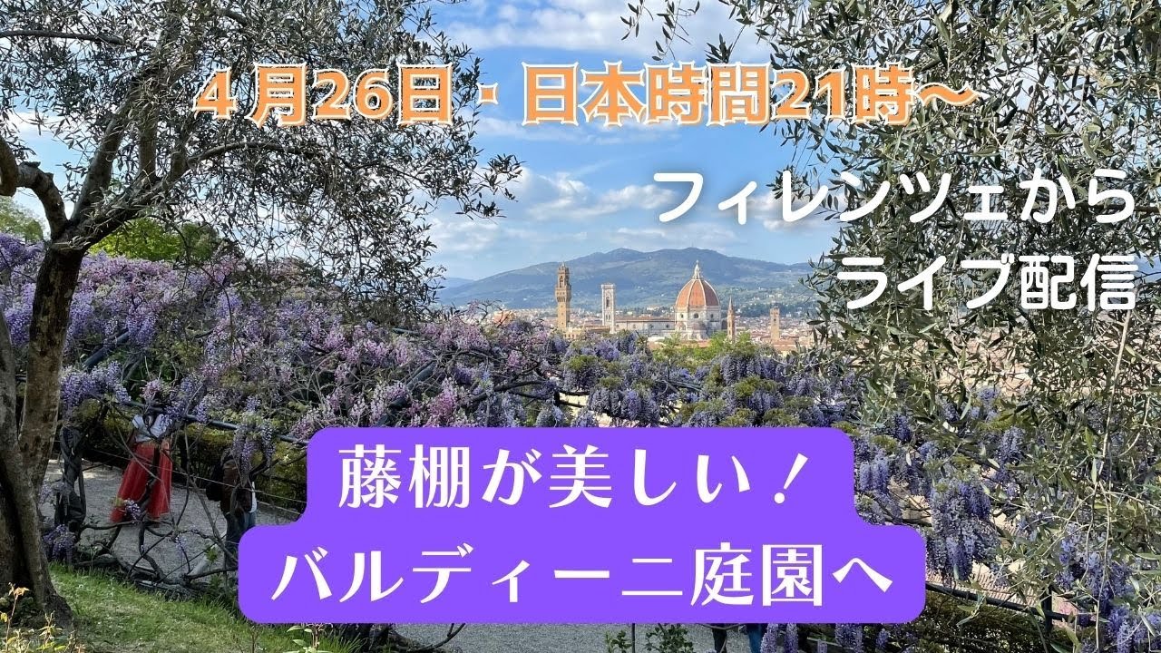 フィレンツェ散策ライブ17【藤棚が美しいバルディーニ庭園】