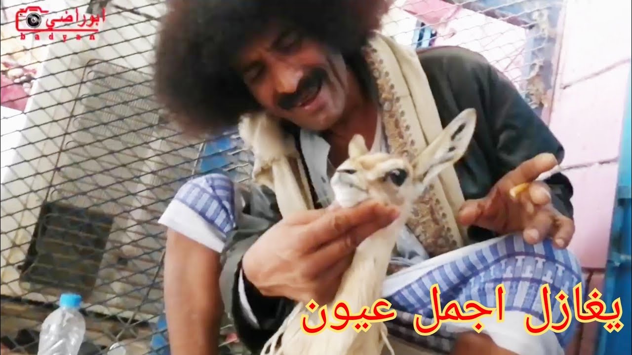 أجمل اغنية غزل  في مدينة عزان  بس سعدان ختمها 🤣