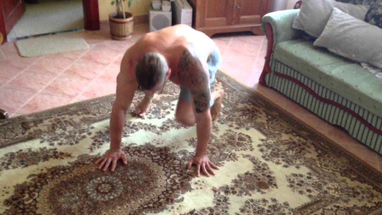 JA Myburgh - QDR intermediate rotational push-ups