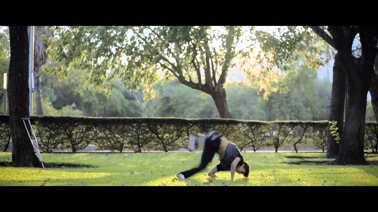 Chapman University Video Essay 2016 | 