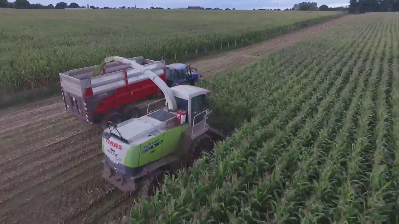Ensilage | CLAAS Jaguar 870 & KEMPER 8 Rangs ! | Septembre 2017