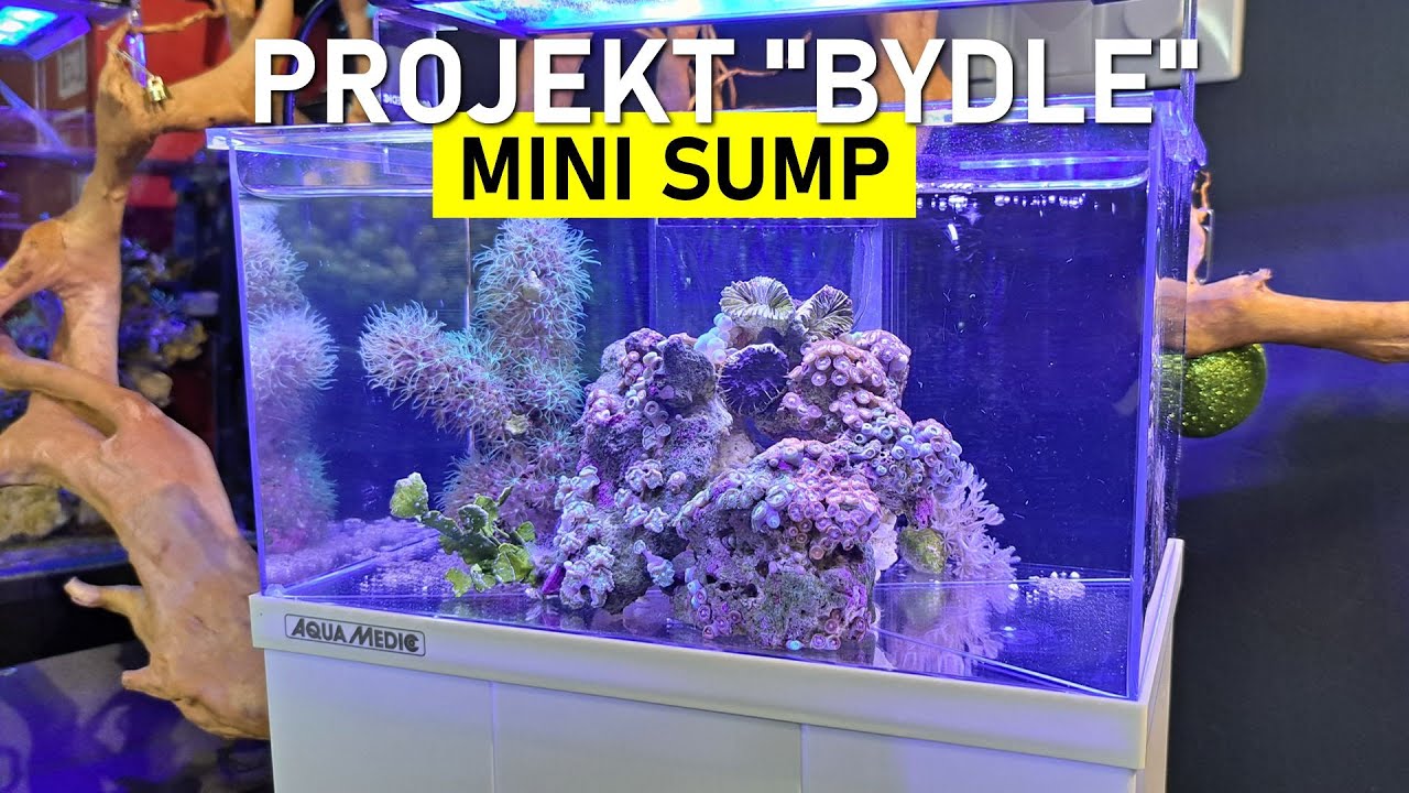 AquaMedic Projekt Morski Bydle - Najmniejsze akwarium z SUMPEM