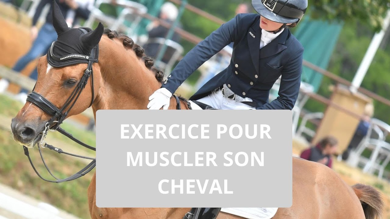 Exercice pour muscler son cheval