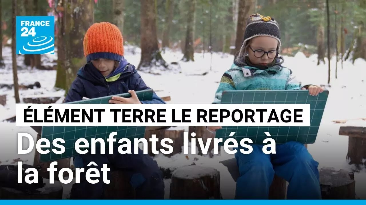 Qu'il vente ou qu'il pleuve, des enfants de 4 à 8 ans ont école dans la forêt • FRANCE 24