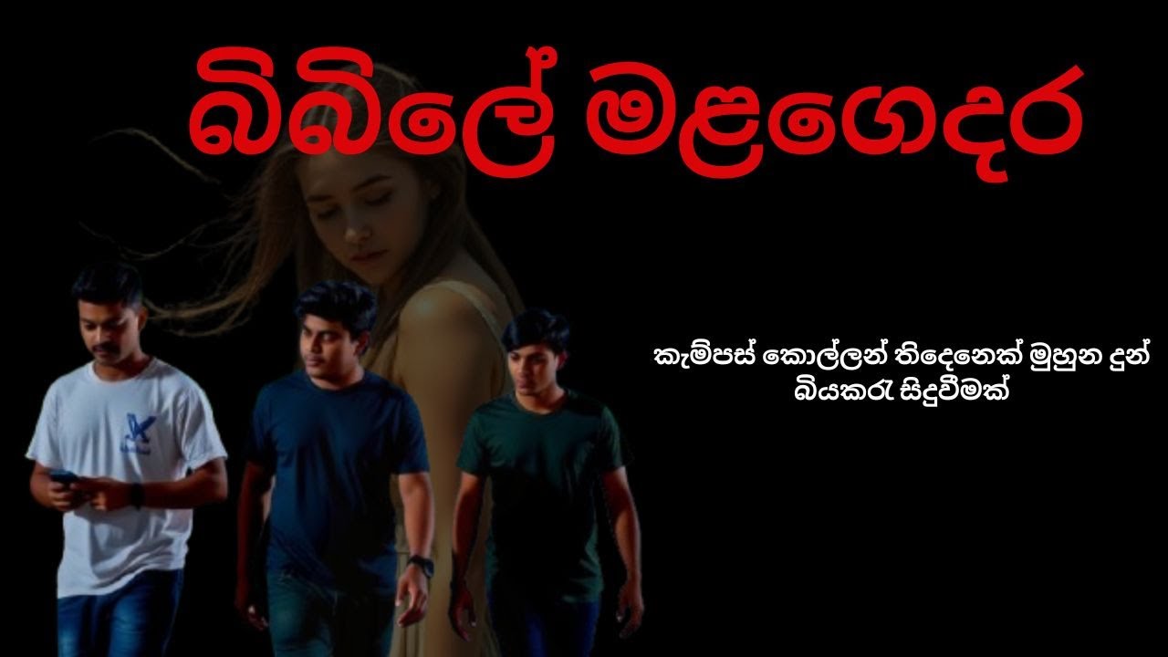 බිබිලේ මළගෙදර / Sinhala Holman Katha / holmankatha/ horrorvideo