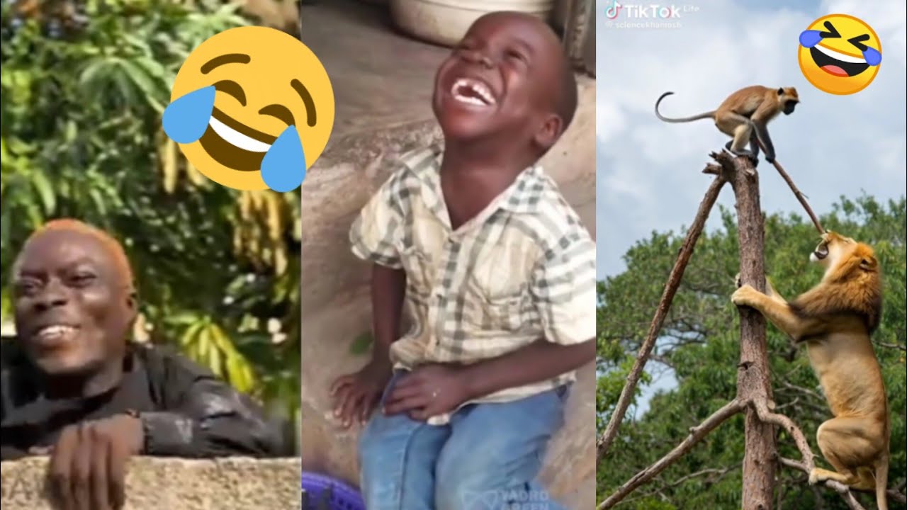 The most funniest video in the world🤣 