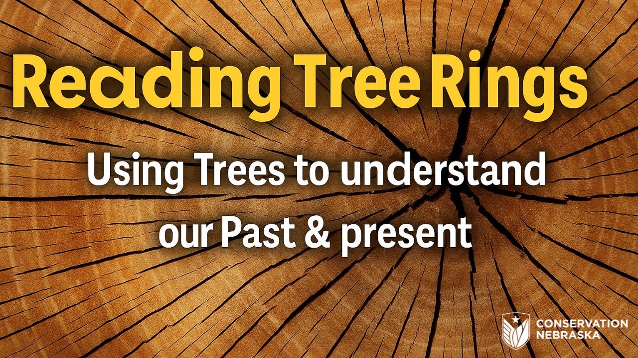 Reading Tree Rings: Using trees to understand our past & present