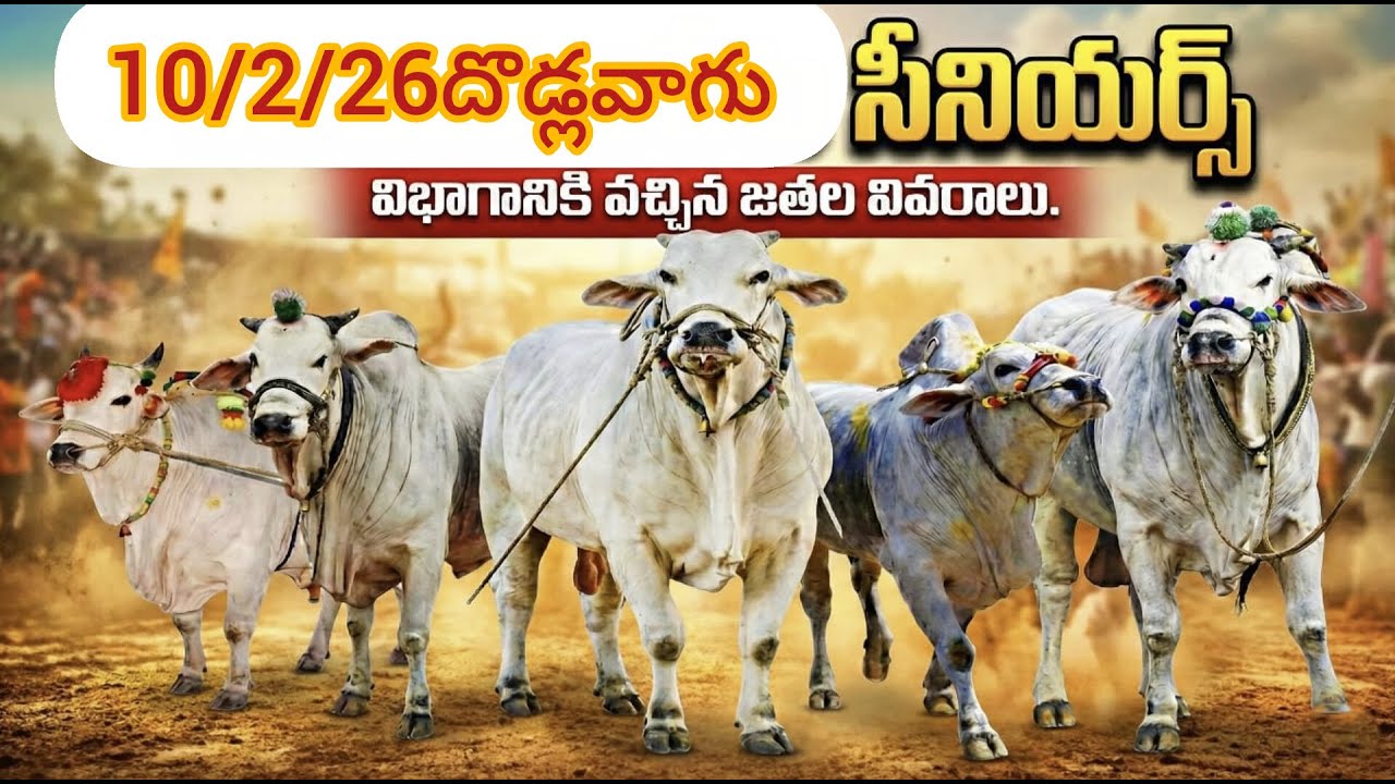 🚩10/2/26దొడ్లవాగు సీనియర్స్ విభాగానికి వచ్చిన జతల వివరాలు