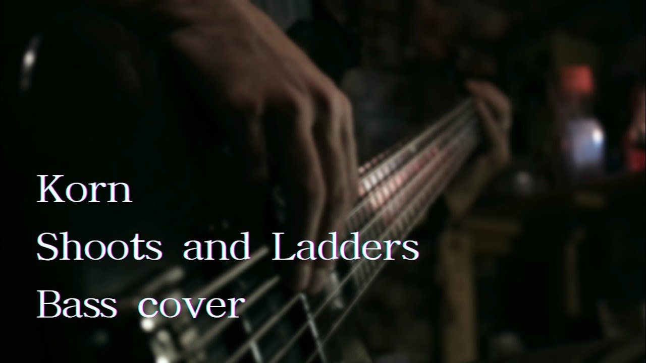 Korn/Shoots and Ladders[Bass cover]