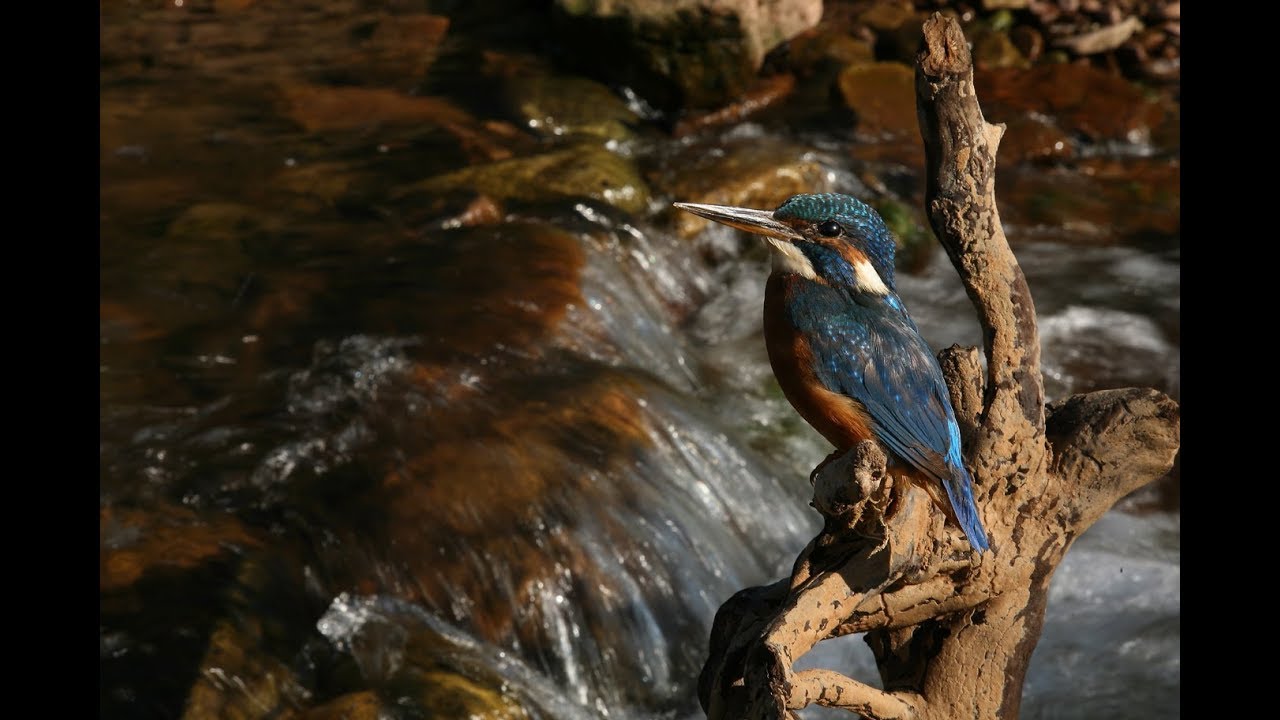 Natur erleben im Niemetal