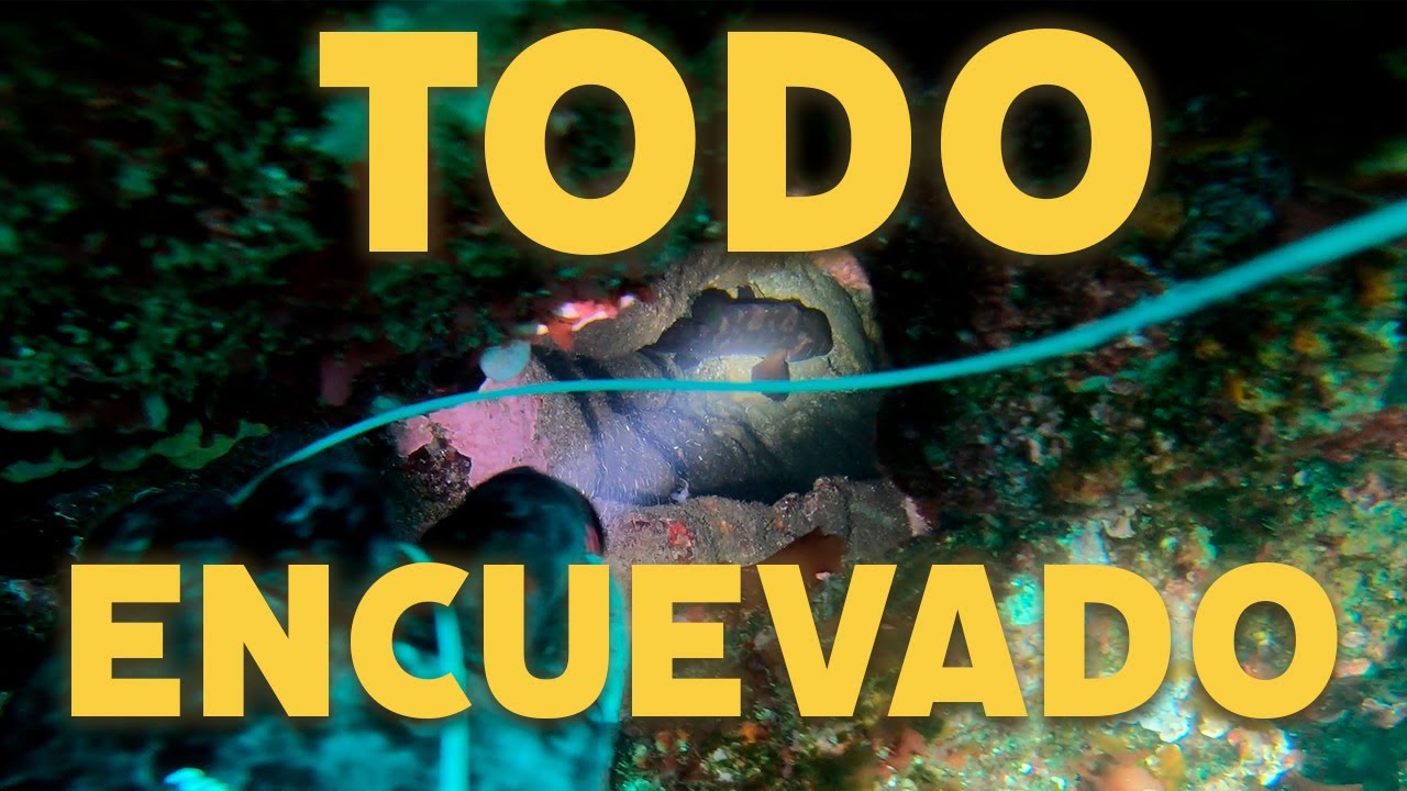 ENCUENTRO TODO EL PESCADO EN CUEVAS | #UPDLDS1