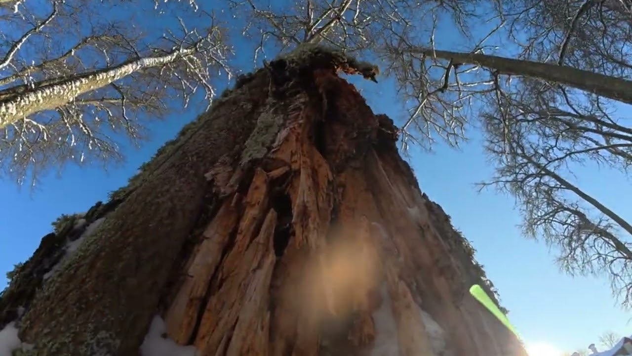 Turgeliai-Pagiriai ekspedicija