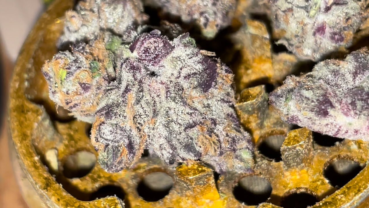 ITS SO PURPLE !