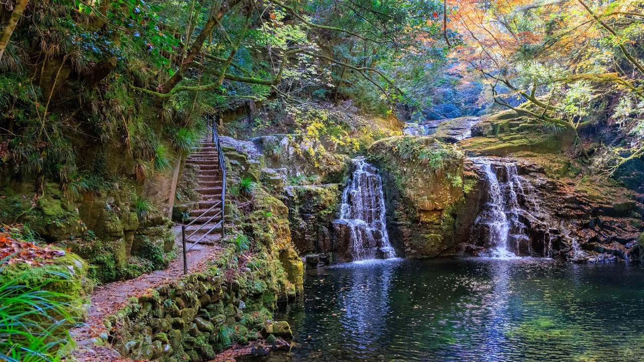 Walking Forest Path, Akame 48 Falls in Autumn | Mie, Japan