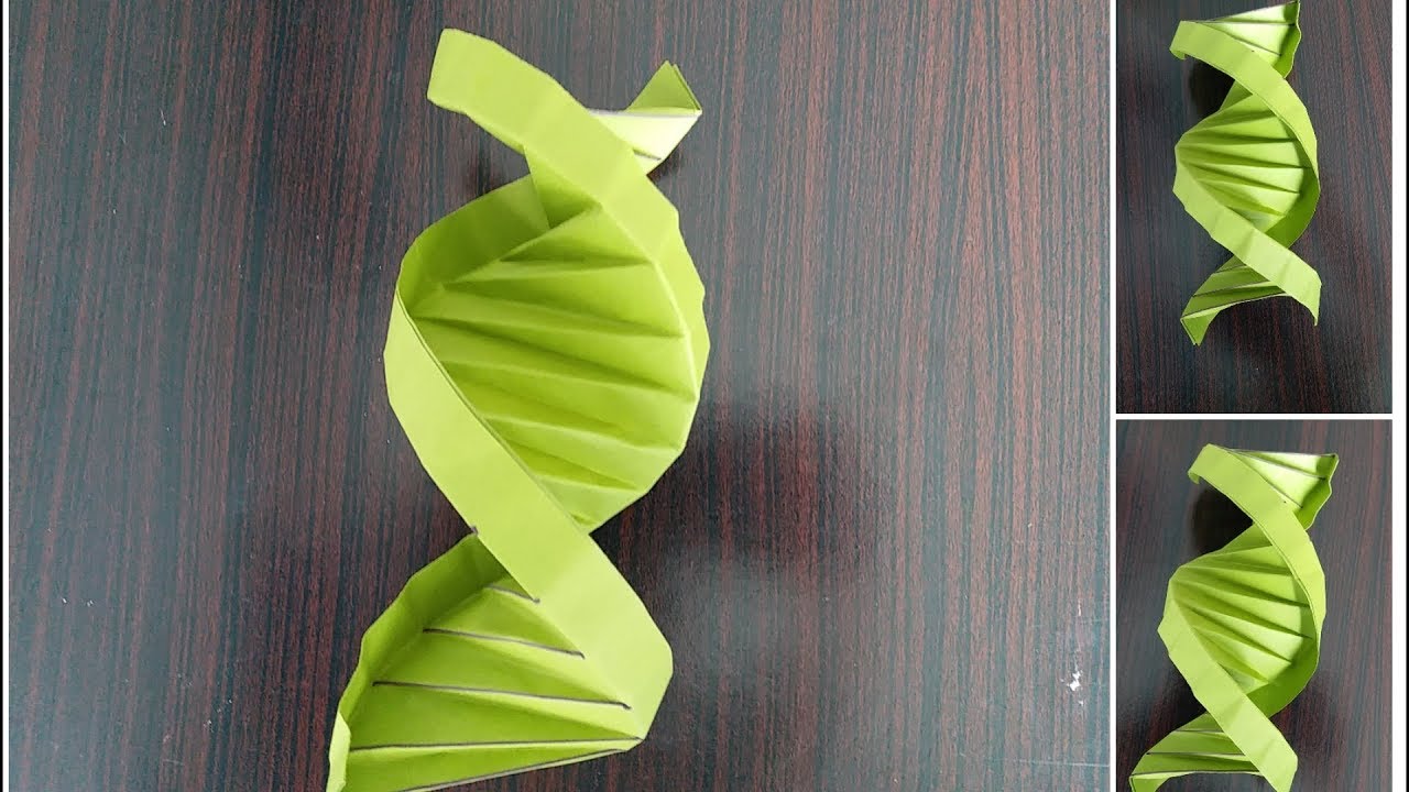 Easy Origami: make DNA model from Paper| School Learning Ideas |Paper idea