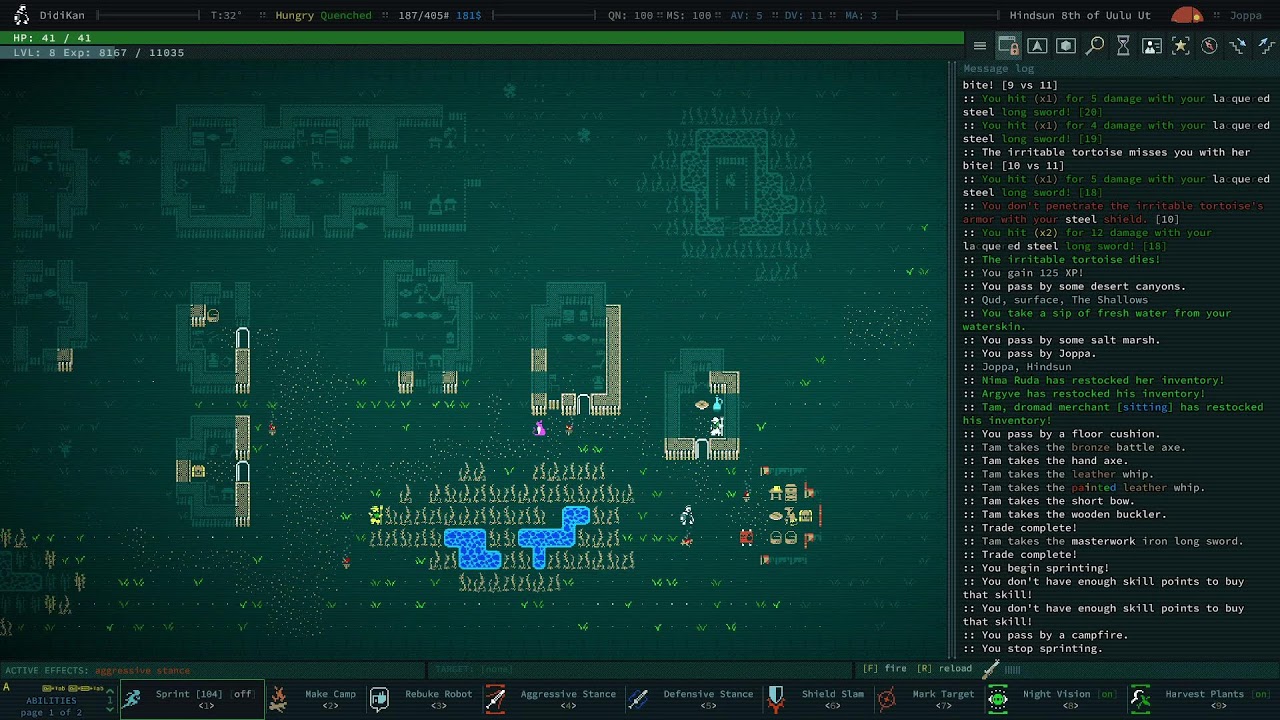 Let's Play Caves of Qud