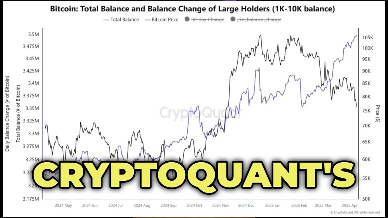 URGENT: Bitcoin Whales Are Buying Like NEVER Before &mdash; What Do They Know About BTC's Future?
