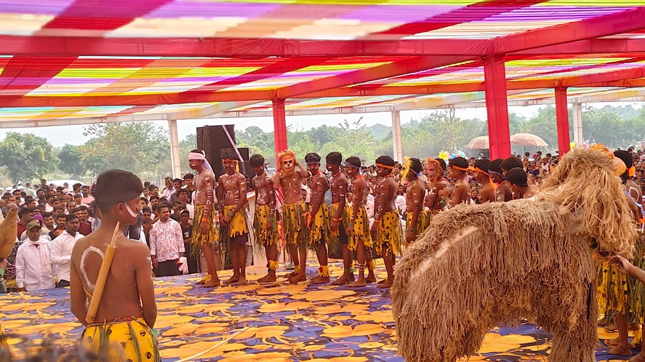 Aadivasi Boy's dance આદિવાસી વારલી સમાજ સંમેલન માંડા 🌾🏹 #dancevideo  #aadivasidancevideo #aadivasi 