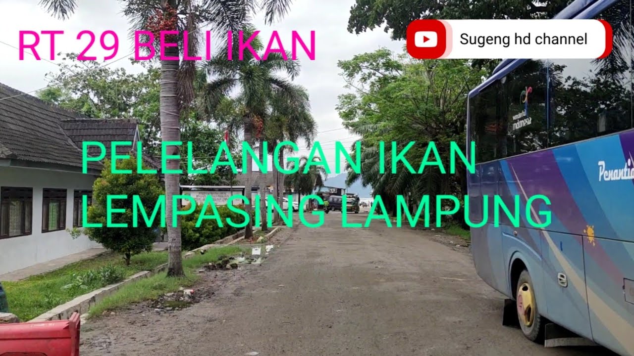 BELI IKAN DI PELELANGAN IKAN LEMPASING LAMPUNG.
