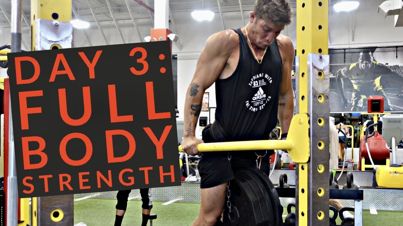 DAY 3: RAW TRAINING CLIPS | WEIGHTED PULL UPS | WEIGHTED DIPS | OVERHEAD PRESS | SQUATS