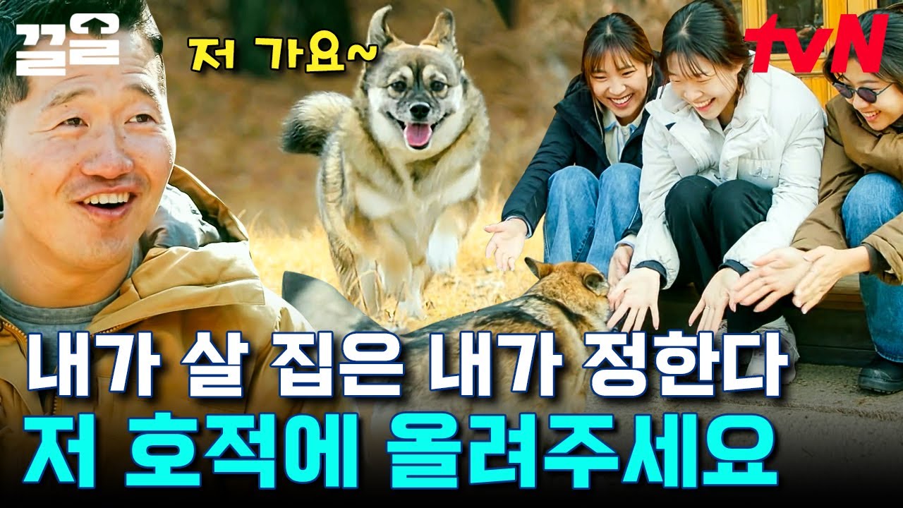 이렇게 웃상인 강아지 본 적 있으세요? 진짜 너무 귀여워요..🥺 사람도 강아지도 모두 행복해 보이는 가족🥰 | 고독한훈련사