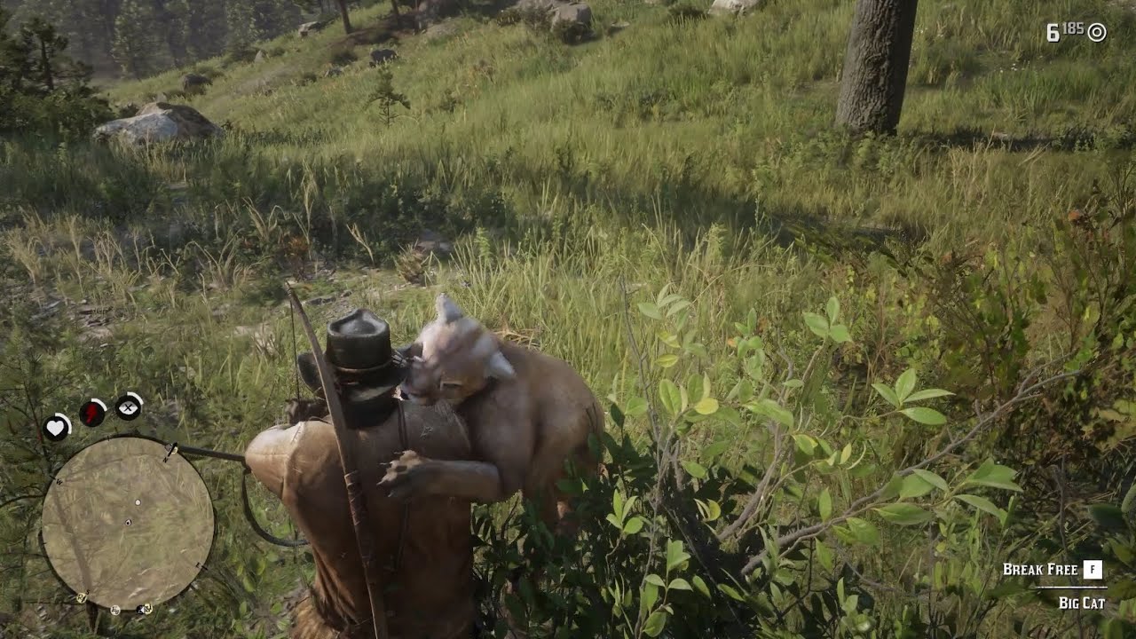 [Let's Play] Red Dead Redemption 2 Ep44b - She's a cougar (ohne Kommentare)