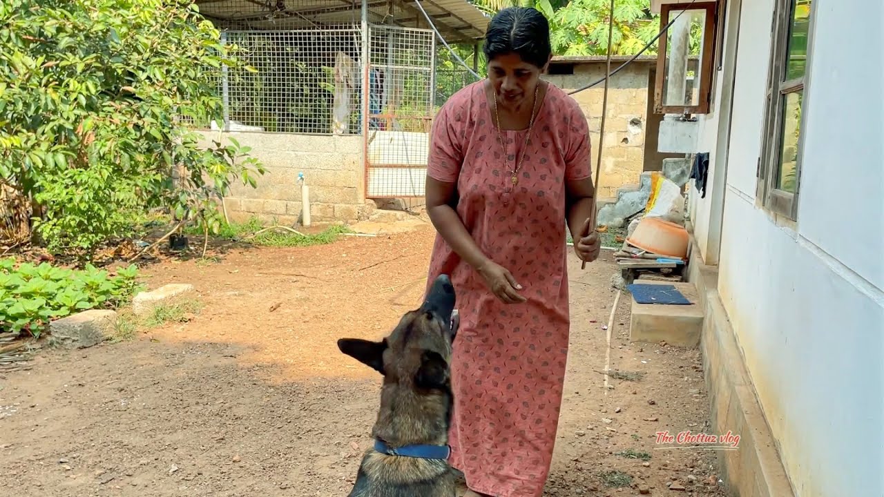 അമ്മാ, അച്ഛന്റെ കയ്യിൽ സിഗററ്റ്🫣, വാ അടി കൊടുക്കാം 😠|LeoLaika|Chottuz
