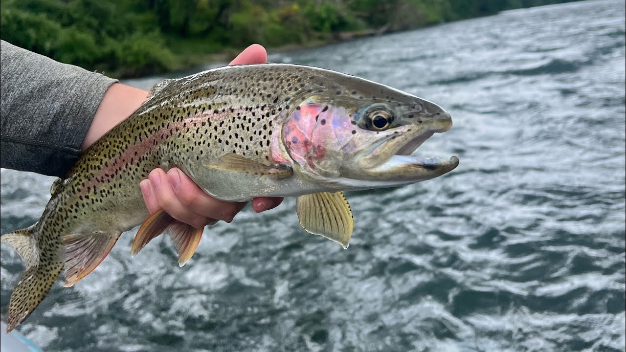 Oregon Early Fall Fishing Report - Finding Friends/Women's Fishing Group/Trout/Steelhead