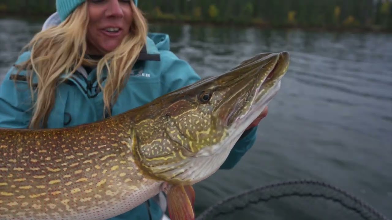 The Monster Pike of Cree Lake | Lisa Roper Outdoors 