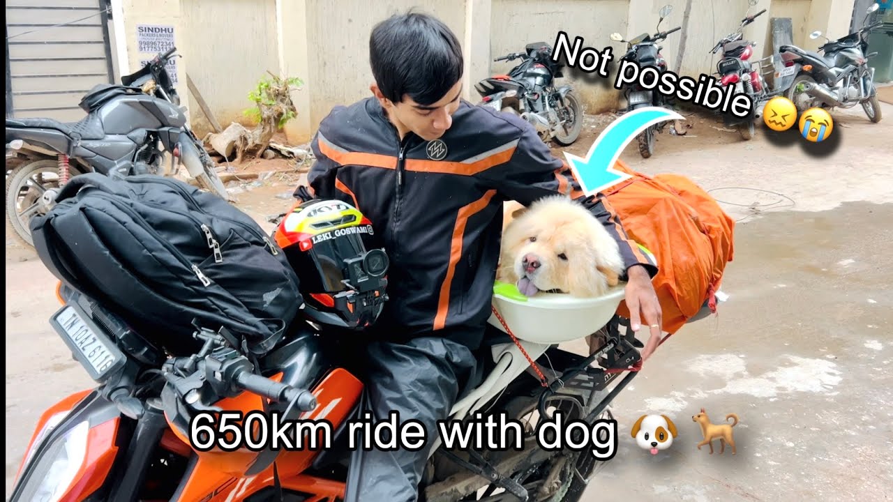 Hyderabad to Bengaluru with Charlie dog 🐶 but😭😖