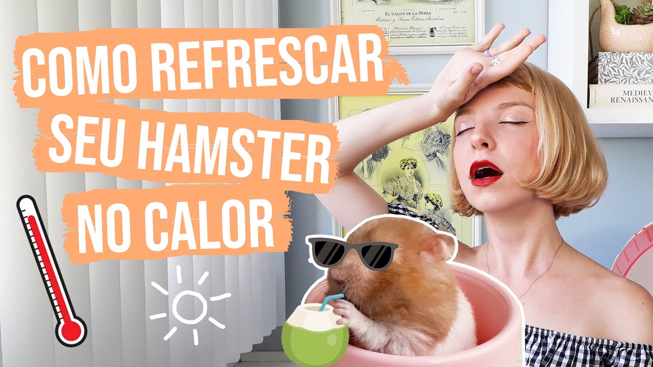 Como refrescar o alojamento do seu hamster no calor