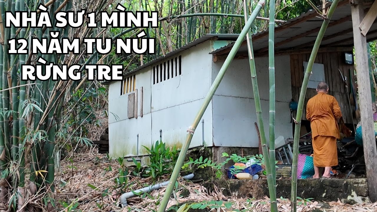 Hành Trình Đi Tìm Nhà Sư Tu Hành Trong Rừng Tre Trên Núi Cao Hơn 12 Năm