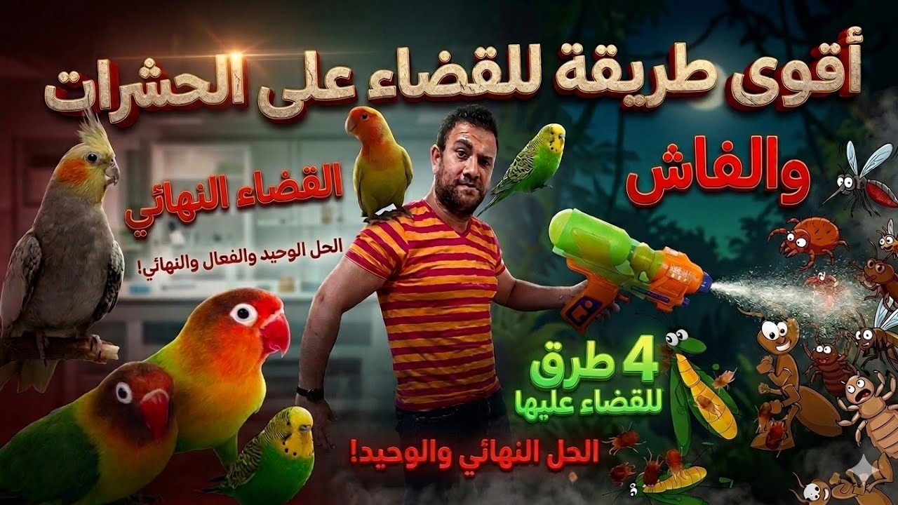 الحل النهائي للقضاء على الحشرات والفاش والنمل وحماية الطيور