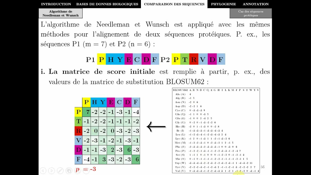 Bioinformatique - Chapitre 3 - Comparaison des séquences P2-  Master Biotechnologie Alimentaire 2021