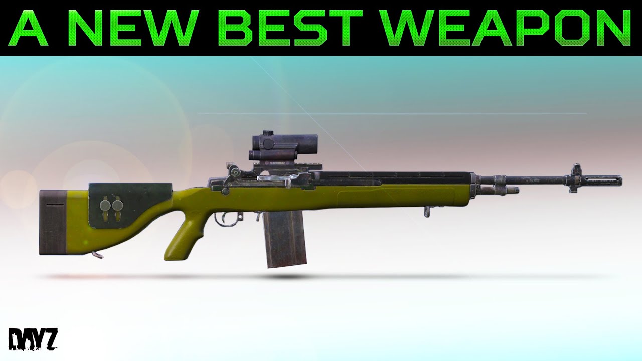 M14 DMR Damage, Range & Loot Locations Vs LAR & SVD in DayZ 1.23